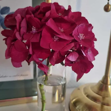 ゲストハウス Falsterly Glamping 3*