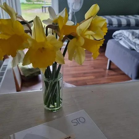 Casa de hóspedes Falsterly Glamping 3*