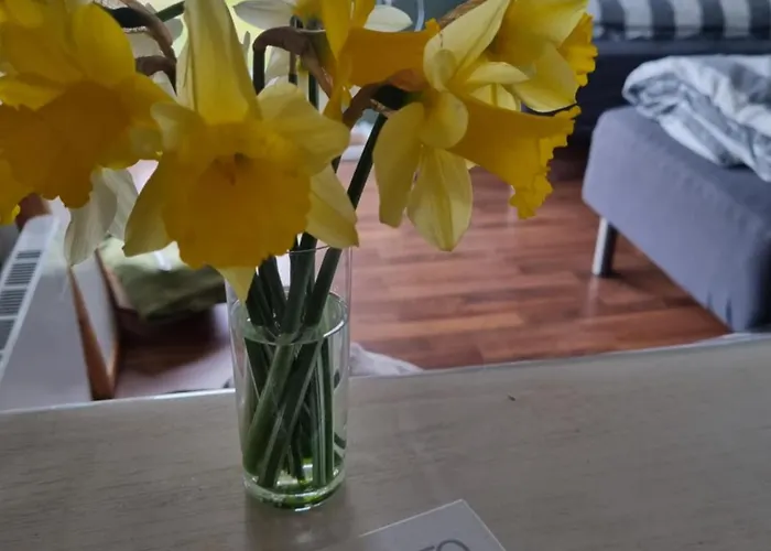 게스트하우스 Falsterly Glamping 3*